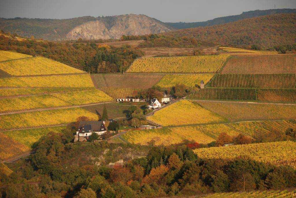 Gut Hermannsberg, Gaestehaus Niederhausen ภายนอก รูปภาพ