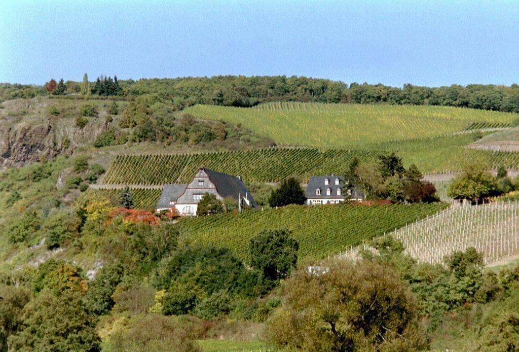 Gut Hermannsberg, Gaestehaus Niederhausen ภายนอก รูปภาพ